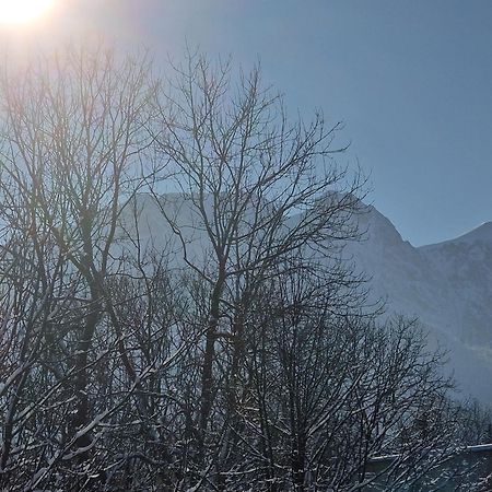 Lukaszowki Przy Krupowkach Daire Zakopane Dış mekan fotoğraf